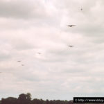 Parachutage à La Fière - Commémorations 2004 - Photos du 60ème anniversaire du débarquement et de la bataille de Normandie. Photo : D-Day Overlord