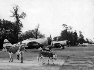 P-47D-Carentan-ALG-A-10-Catz