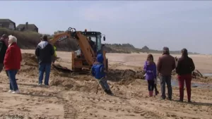 A landing craft discovered in Normandy... then destroyed 7 Barge du débarquement de Normandie - Merville-Franceville